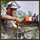 Tree Surgeon, Inverness, Elgin, Nairn, Forres