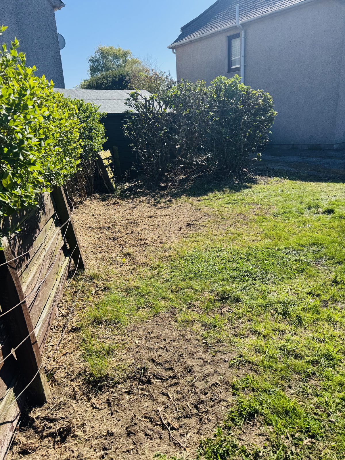 Garden before stump grinding — large stump still in the ground